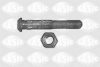 PEUGE 060717 Connecting Rod Bolt